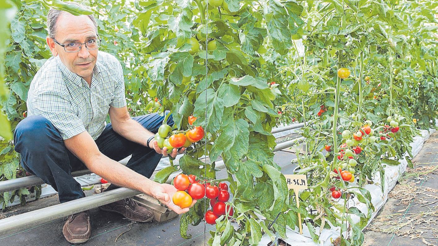 Carlos Baixauli cajamar|Cajamar-curso-cultivo sin suelo-2